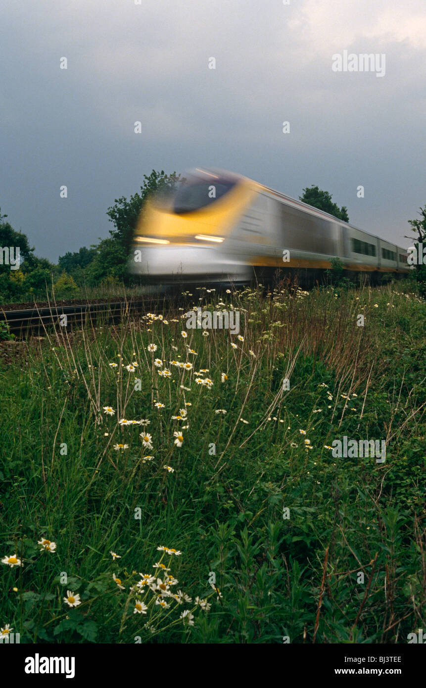 Ein Beschleunigung Eurostar TGV-Zug rast in Richtung des Betrachters, verwischen, wie es auf uns zu kommt. Stockfoto