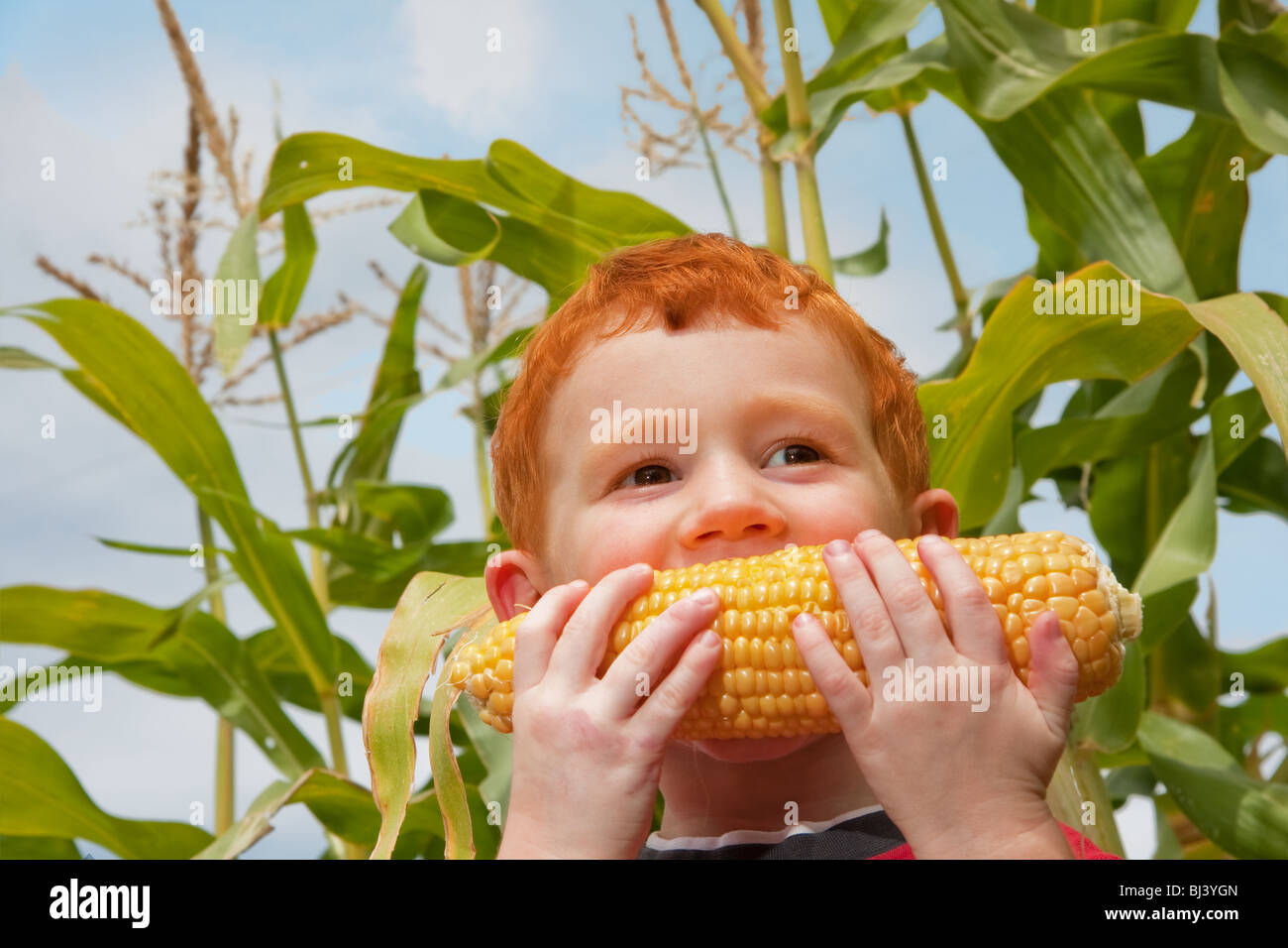 Kleiner Junge essen frischen Mais mit Maisstengel und Himmel Hintergrund Stockfoto