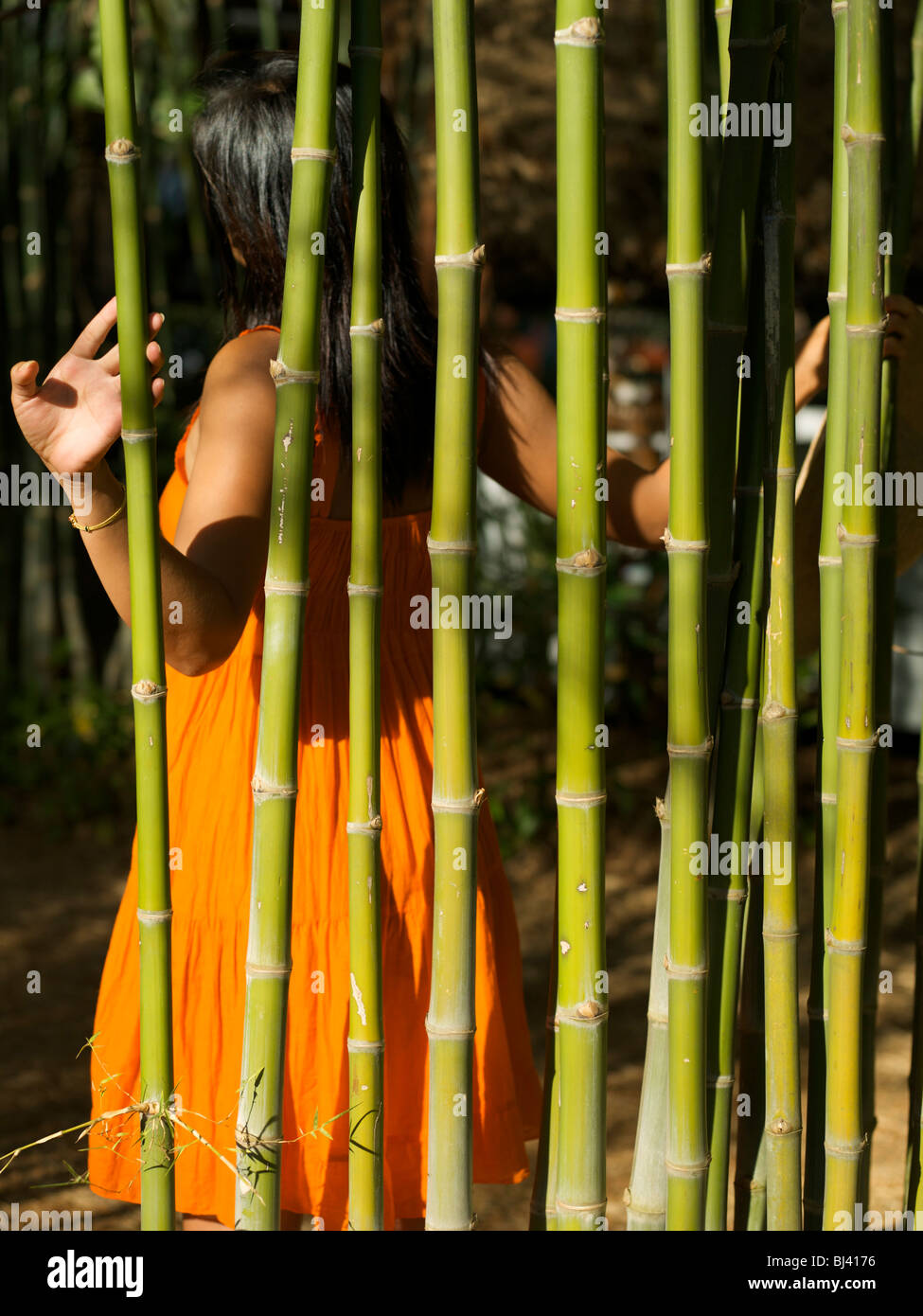 Thai Lady in orange Sommerkleid mit Strohhut, Wandern in den Dschungel Stockfoto