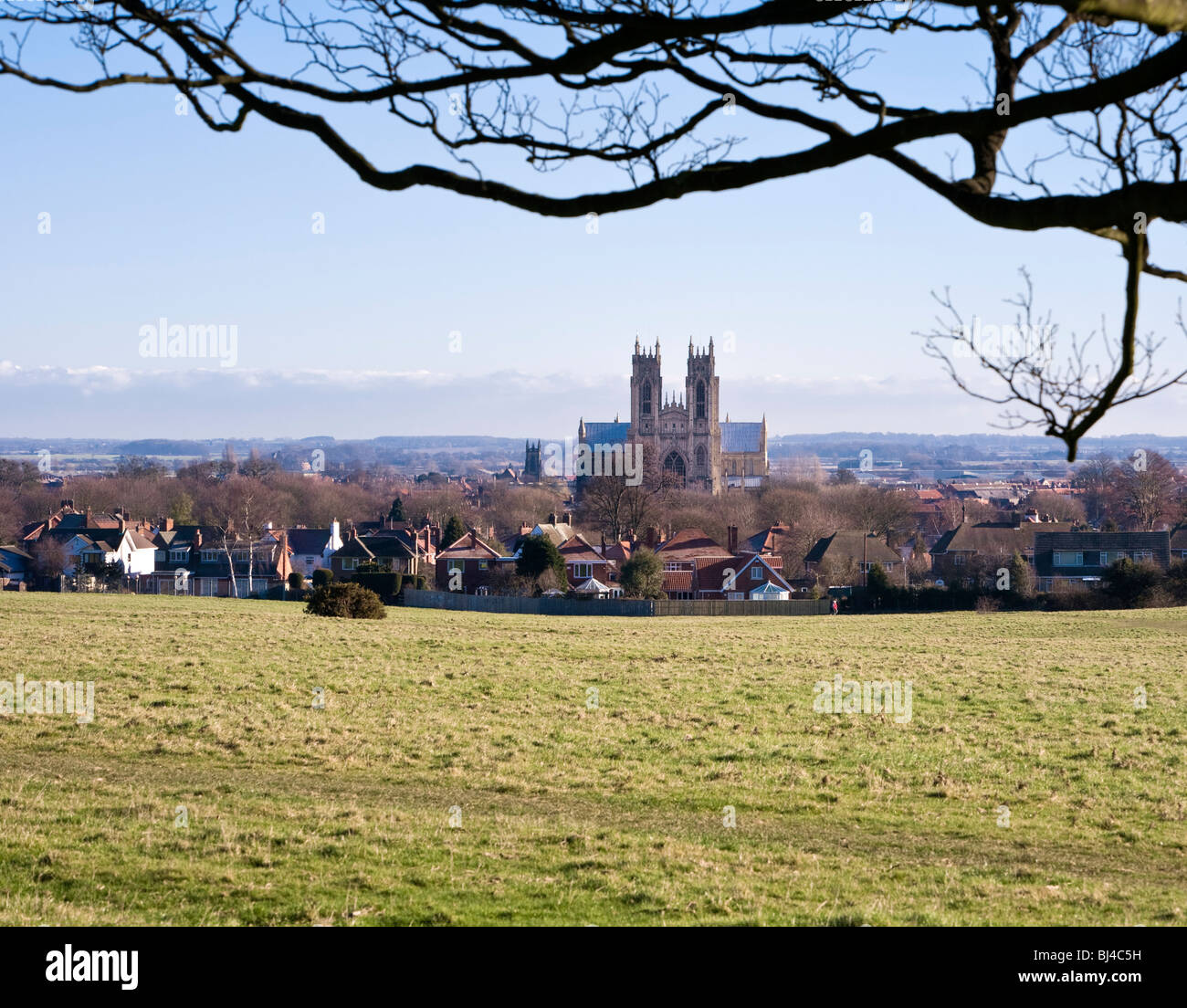 Beverley Minster East Yorkshire UK von Westwood Weiden Stockfoto