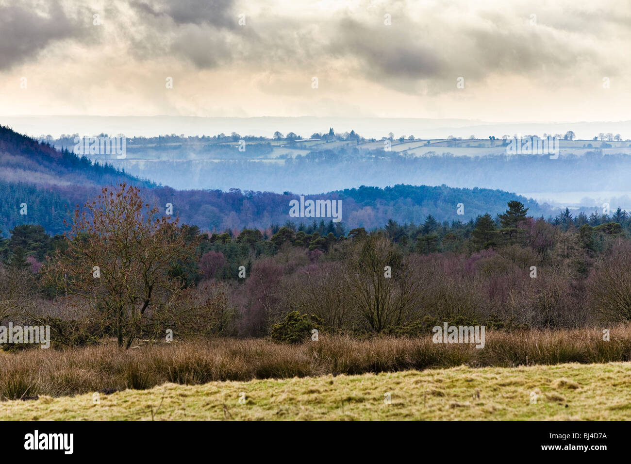 North York Moors, Yorkshire, England, Vereinigtes Königreich Stockfoto