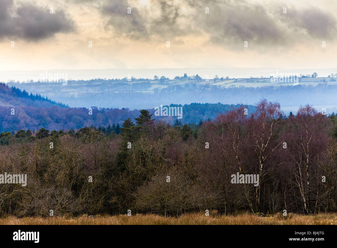 North York Moors, Yorkshire, Großbritannien Stockfoto