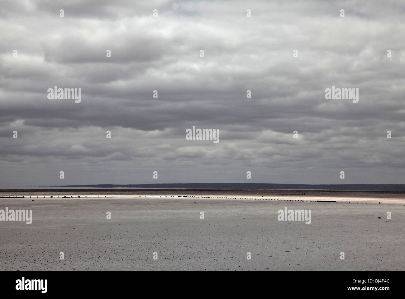 Lake Hart, Südaustralien Stockfoto