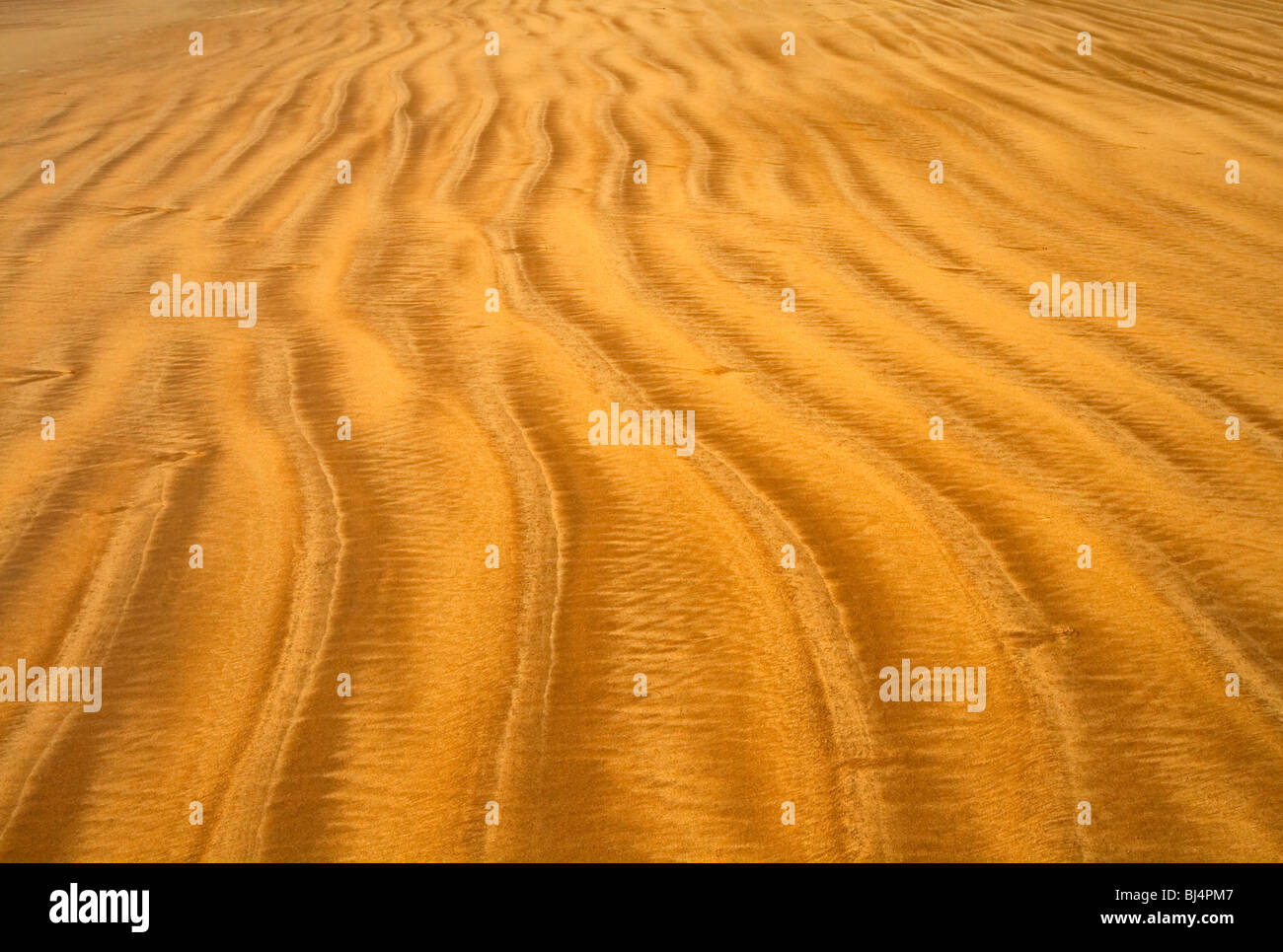 Wirbelnden lineare Mustern in golden farbigem sand Stockfoto