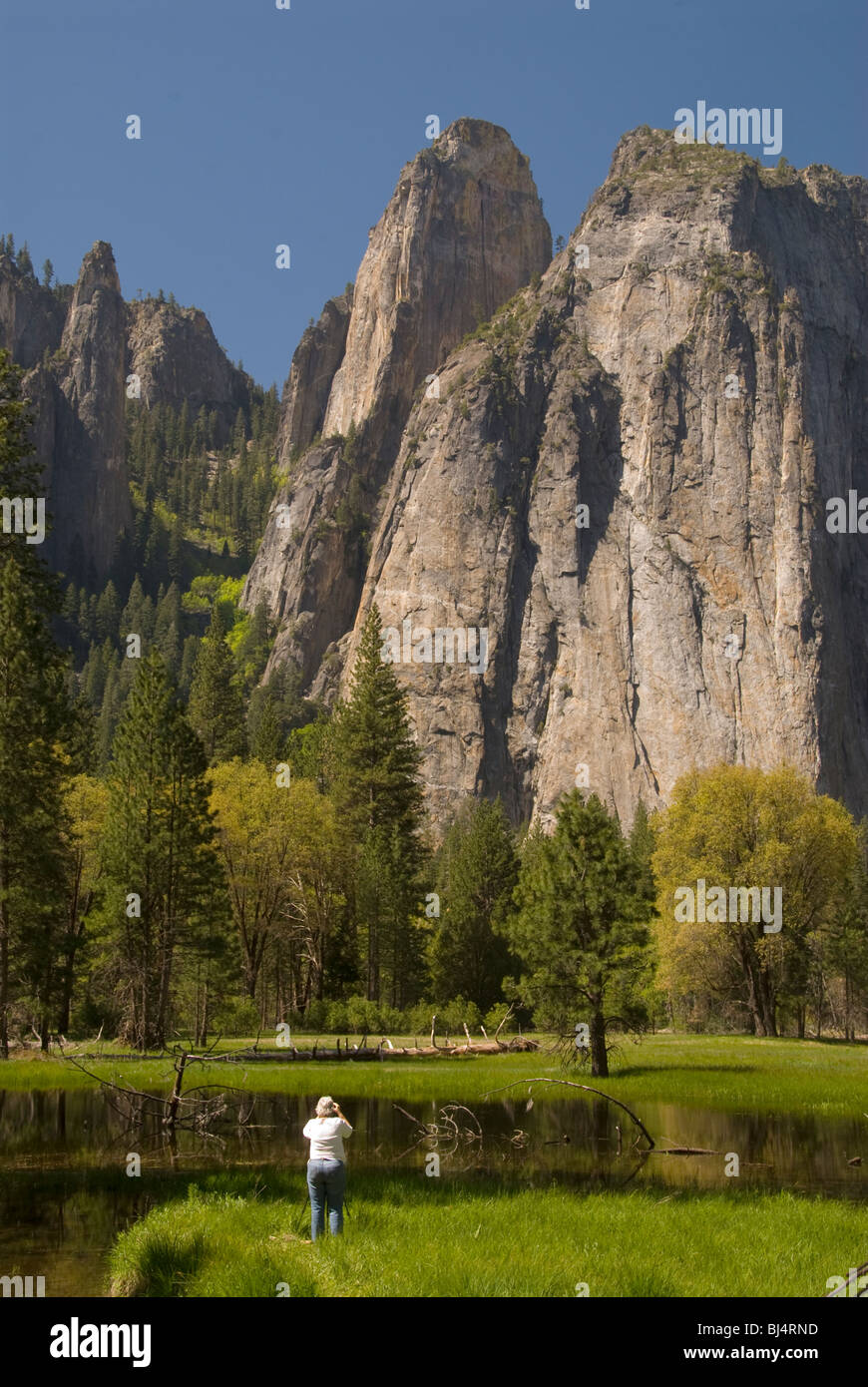 Blick auf Kathedrale Felsen, Yosemite-Nationalpark, Kalifornien Stockfoto