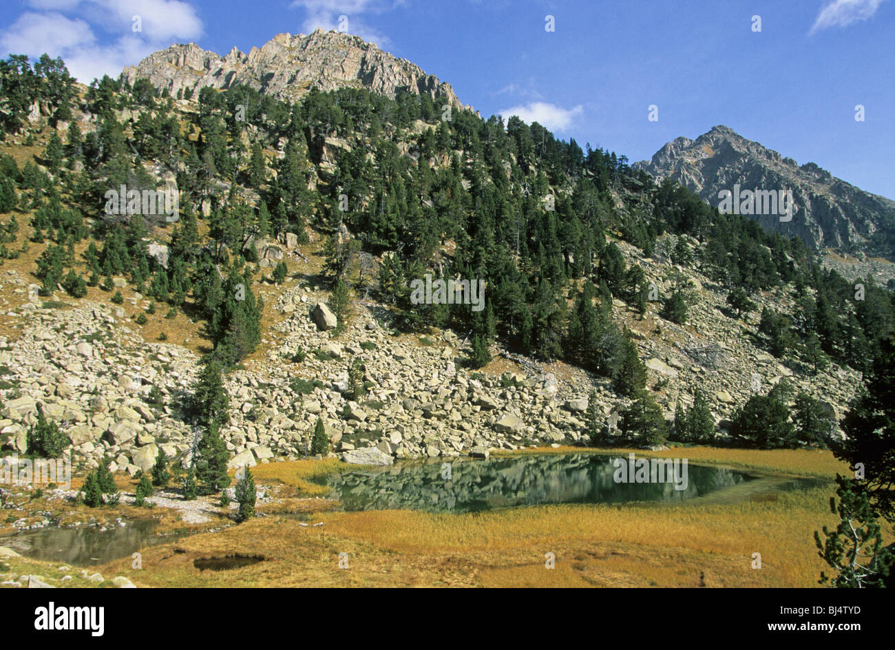 Berg-See und Koniferen, Estany Dels Widerhaken, Nationalpark Aiguestortes, Pyrenäen, Katalonien, Spanien, Europa Stockfoto