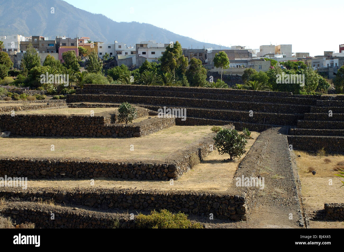 Teneriffa, Kanarische Inseln, Spanien Stockfoto