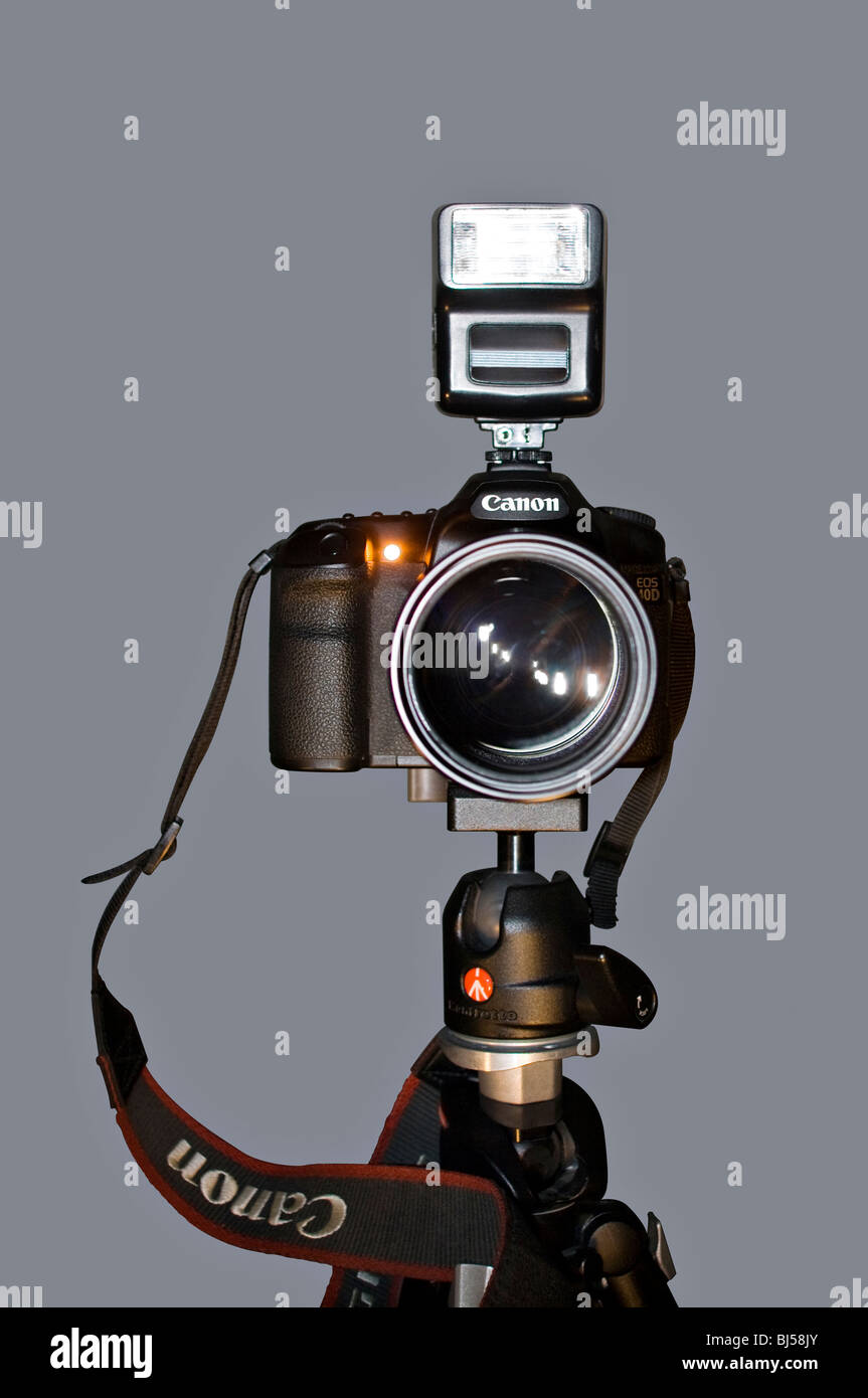 Schneiden Sie aus. Canon EOS 40D digitale Spiegelreflexkamera montiert auf einem Manfrotto 486 RC2 Kugelkopf mit Blitzgerät befestigt. Stockfoto