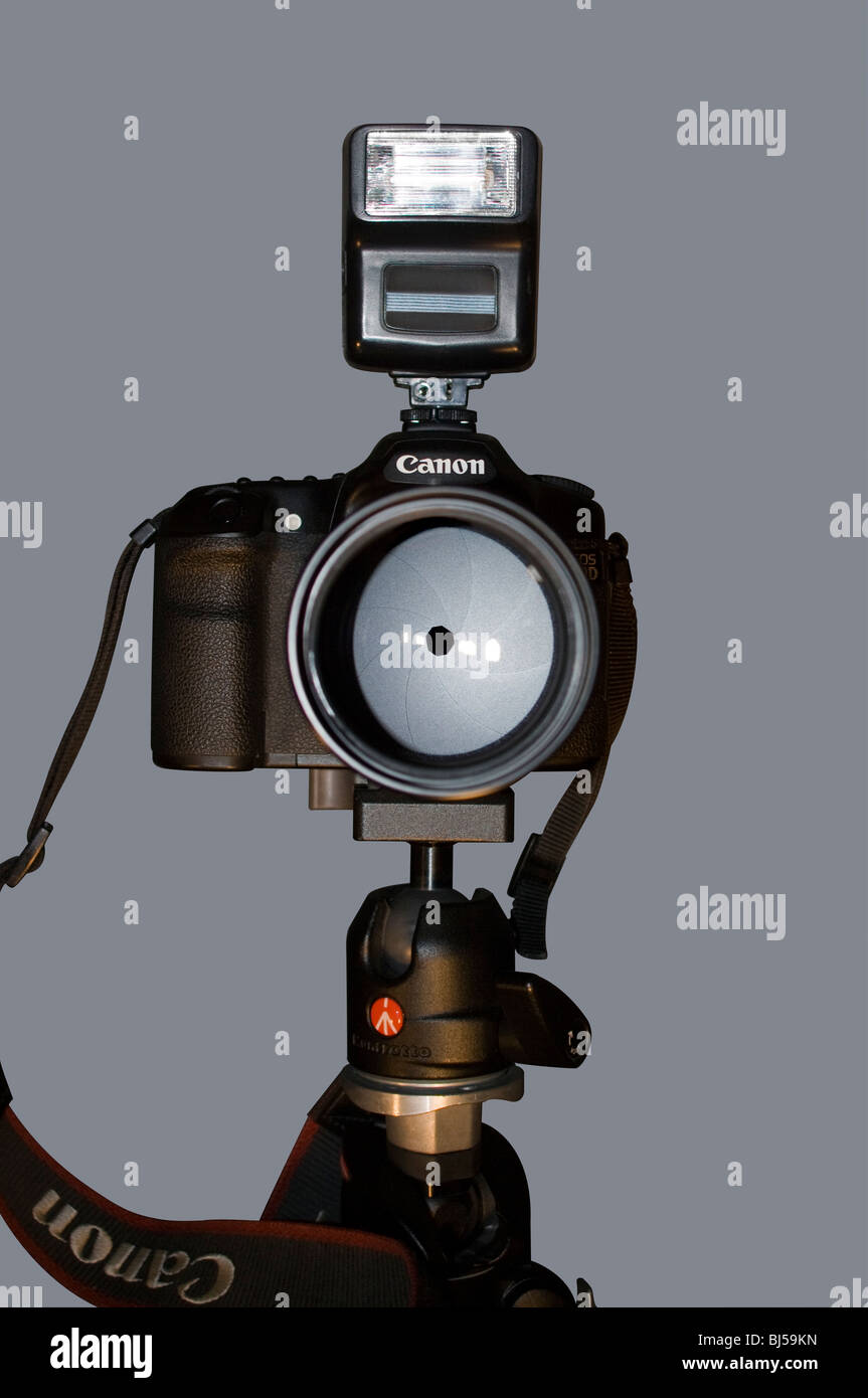 Schneiden Sie aus. Canon EOS 40D digitale Spiegelreflexkamera zeigt Auslöser klingen und auf ein Manfrotto 486 RC2 Kugelkopf mit Blitzgerät montiert. Stockfoto