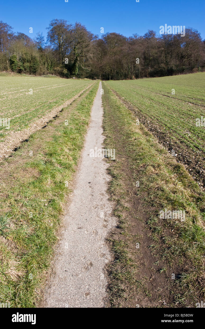 Öffentlichen Weg, einen ländlichen öffentlichen Fußweg durch ein Feld in Amersham Buckinghamshire UK Stockfoto