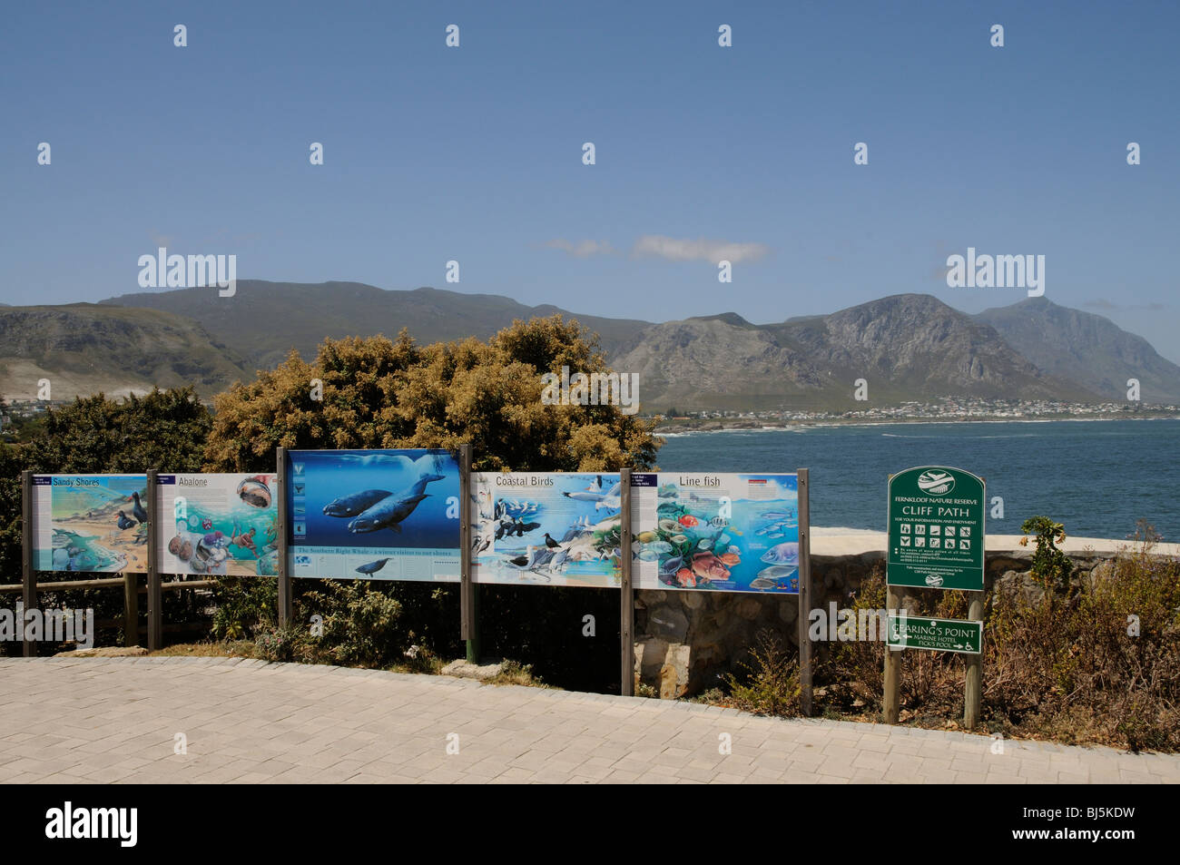 Tourist Info-Tafeln an Getriebe Punkt in Hermanus beliebter Badeort für Wal anzeigen Stockfoto