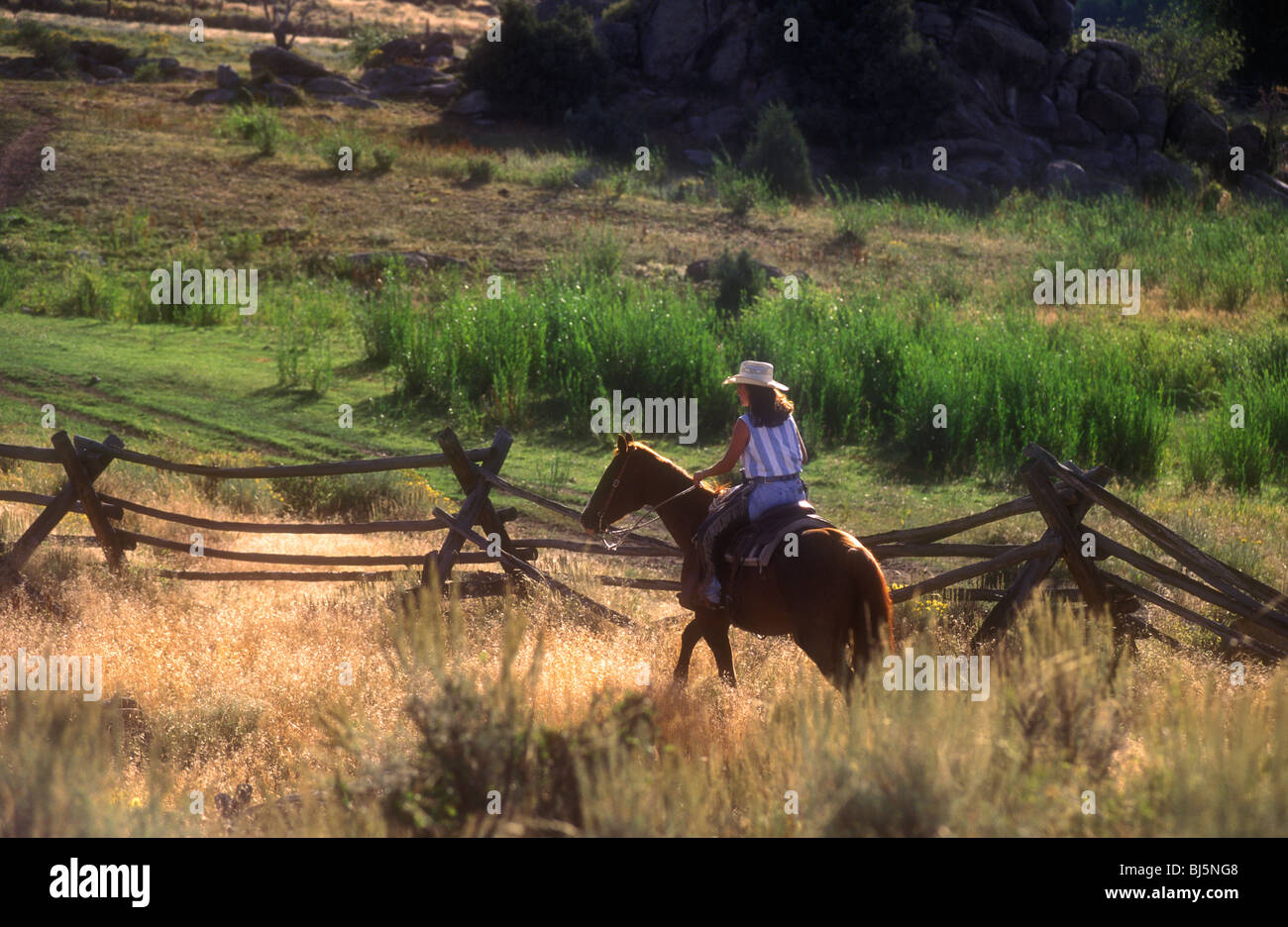 Frau Wrangler arbeiten auf einer Dude Ranch in Wyoming, USA Stockfoto