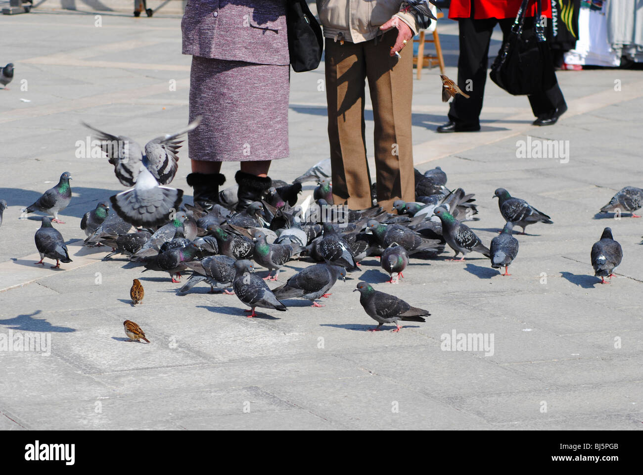 Touristen und Tauben in Markusplatz, Venedig Italien Stockfoto