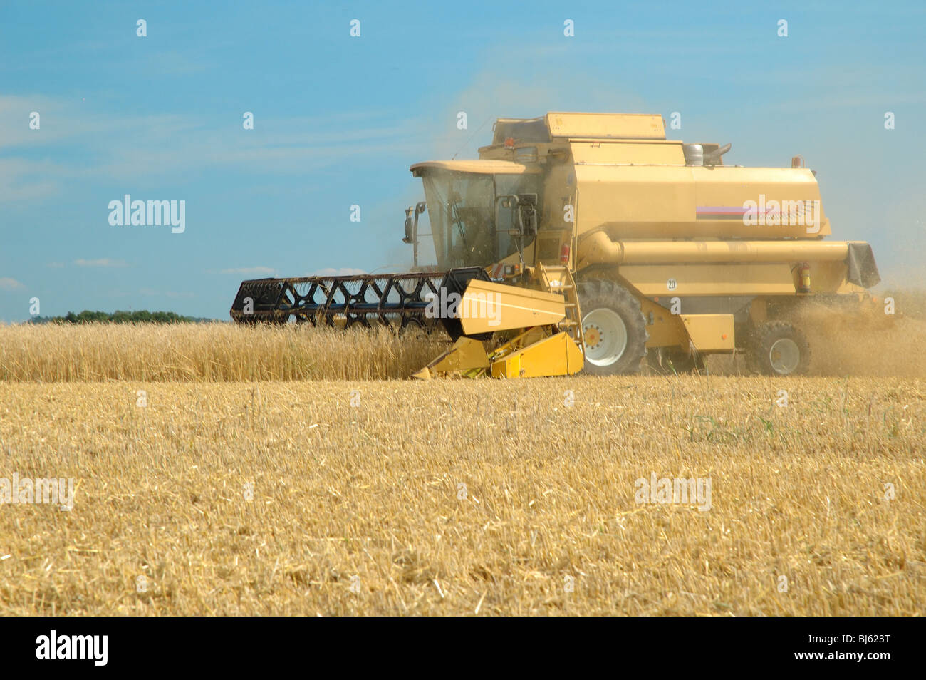 Maschine ernten das Maisfeld Stockfoto