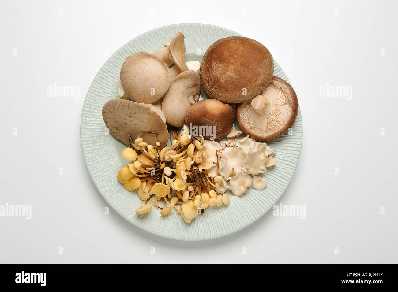 Platte mit verschiedenen Pilzen. Shiitake, König Trompete, freien; über weiß. Stockfoto