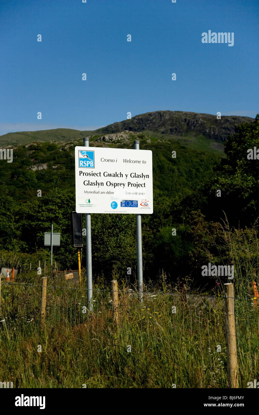 RSPB Glaslyn Osprey Website unter Pont Croesor in die Glaslyn Tal, Snowdonia, Nordwales Stockfoto