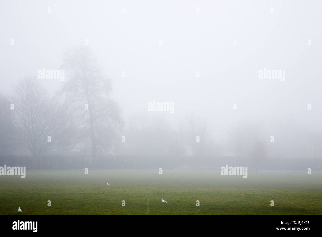 Ein nebliger Tag Stockfoto