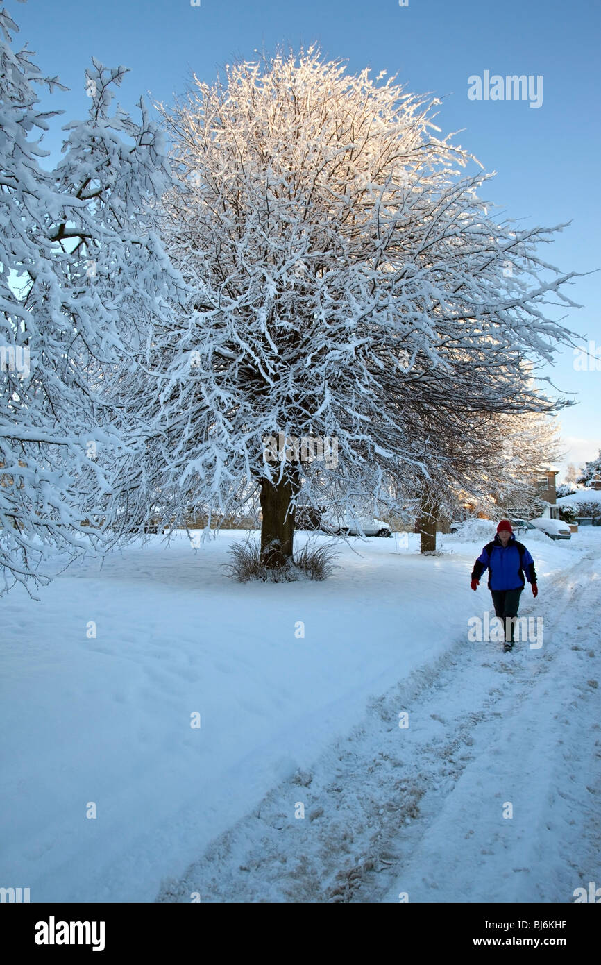 Winterschnee in das kleine Dorf Slingsby in North Yorkshire im Vereinigten Königreich Stockfoto