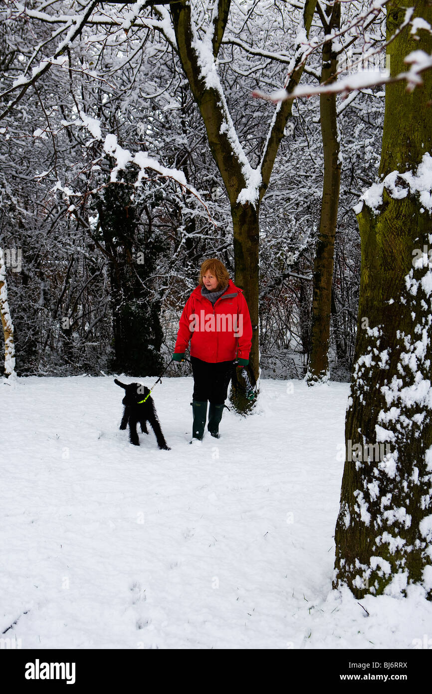 Eine Frau nimmt ihren schwarzen Labradoodle Hund für einen Spaziergang im Schnee durch einen Wald von Bäumen Stockfoto