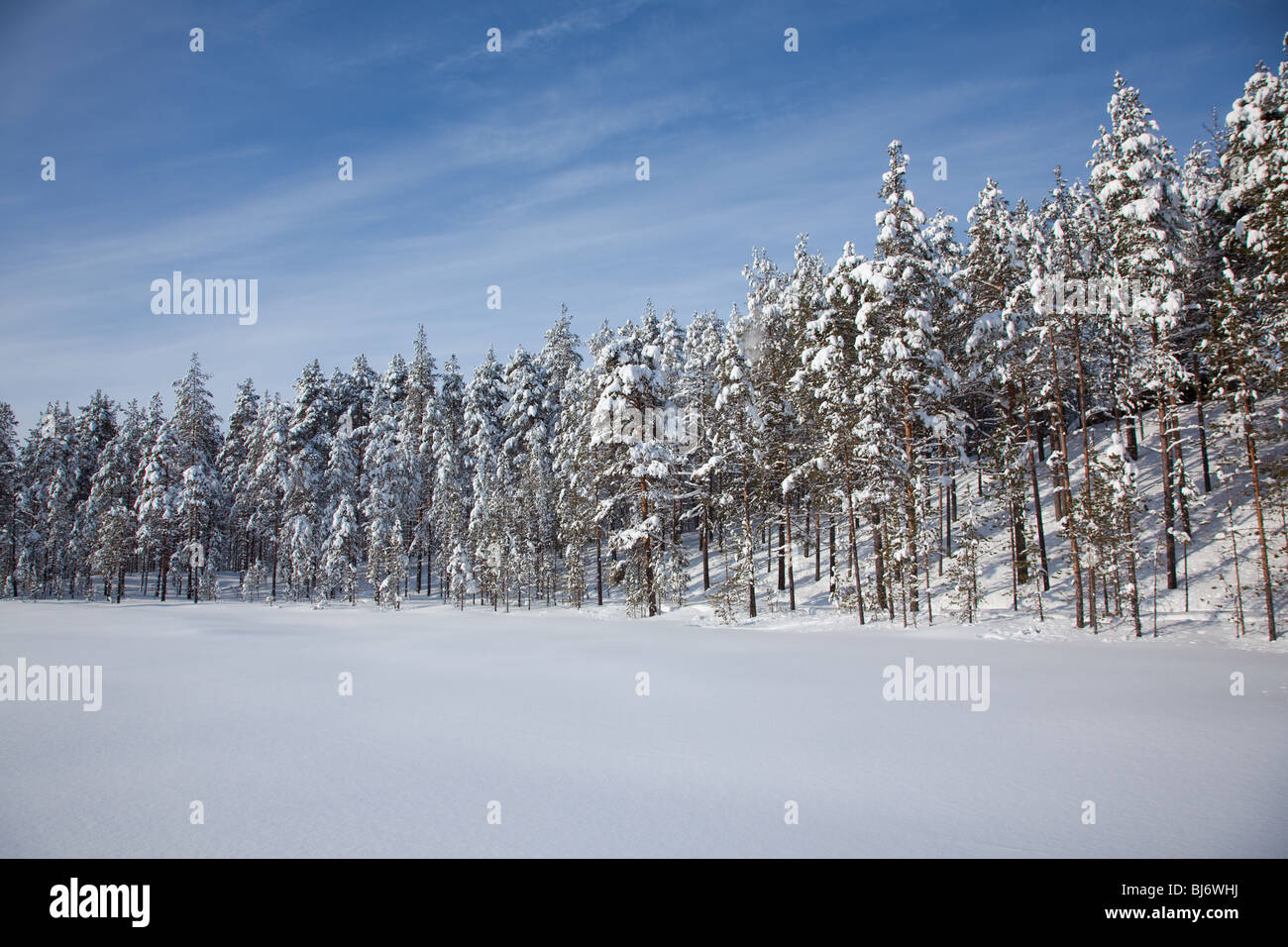 Winterlandschaft Stockfoto