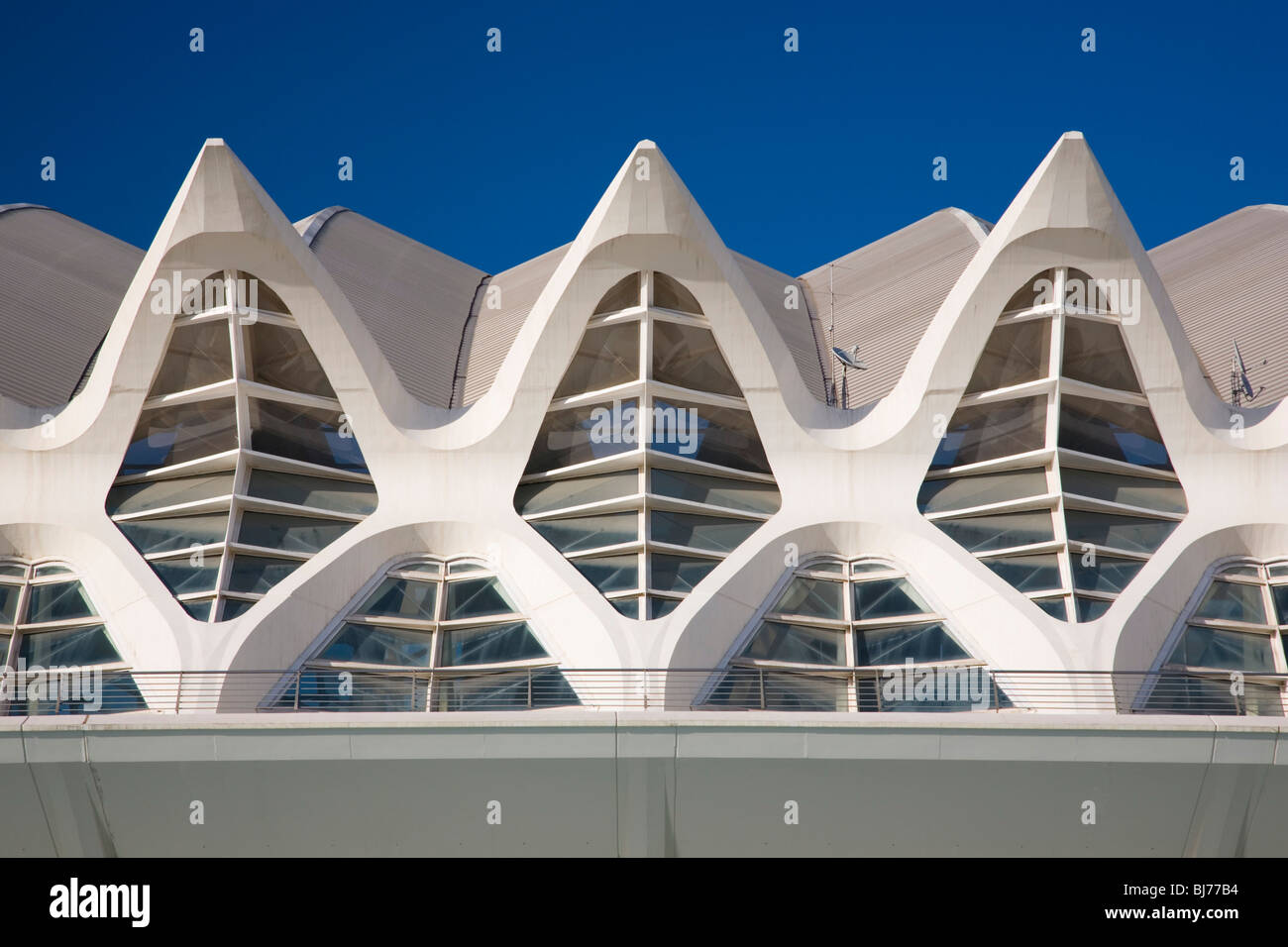 Valencia, Comunidad Valenciana, Spanien. Detail des Museo de Las Ciencias Príncipe Felipe, Ciudad de Las Artes y Las Ciencias. Stockfoto Valencia, Comunidad Valenciana, Spanien. Detail des Museo de Las Ciencias Príncipe Felipe, Ciudad de Las Artes y Las Ciencias. Stockfoto