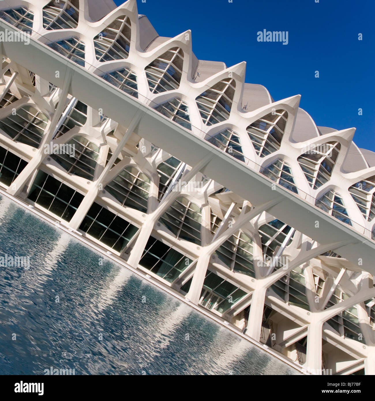 Valencia, Comunidad Valenciana, Spanien. Das Museo de Las Ciencias Príncipe Felipe, Ciudad de Las Artes y Las Ciencias. Stockfoto Valencia, Comunidad Valenciana, Spanien. Das Museo de Las Ciencias Príncipe Felipe, Ciudad de Las Artes y Las Ciencias. Stockfoto