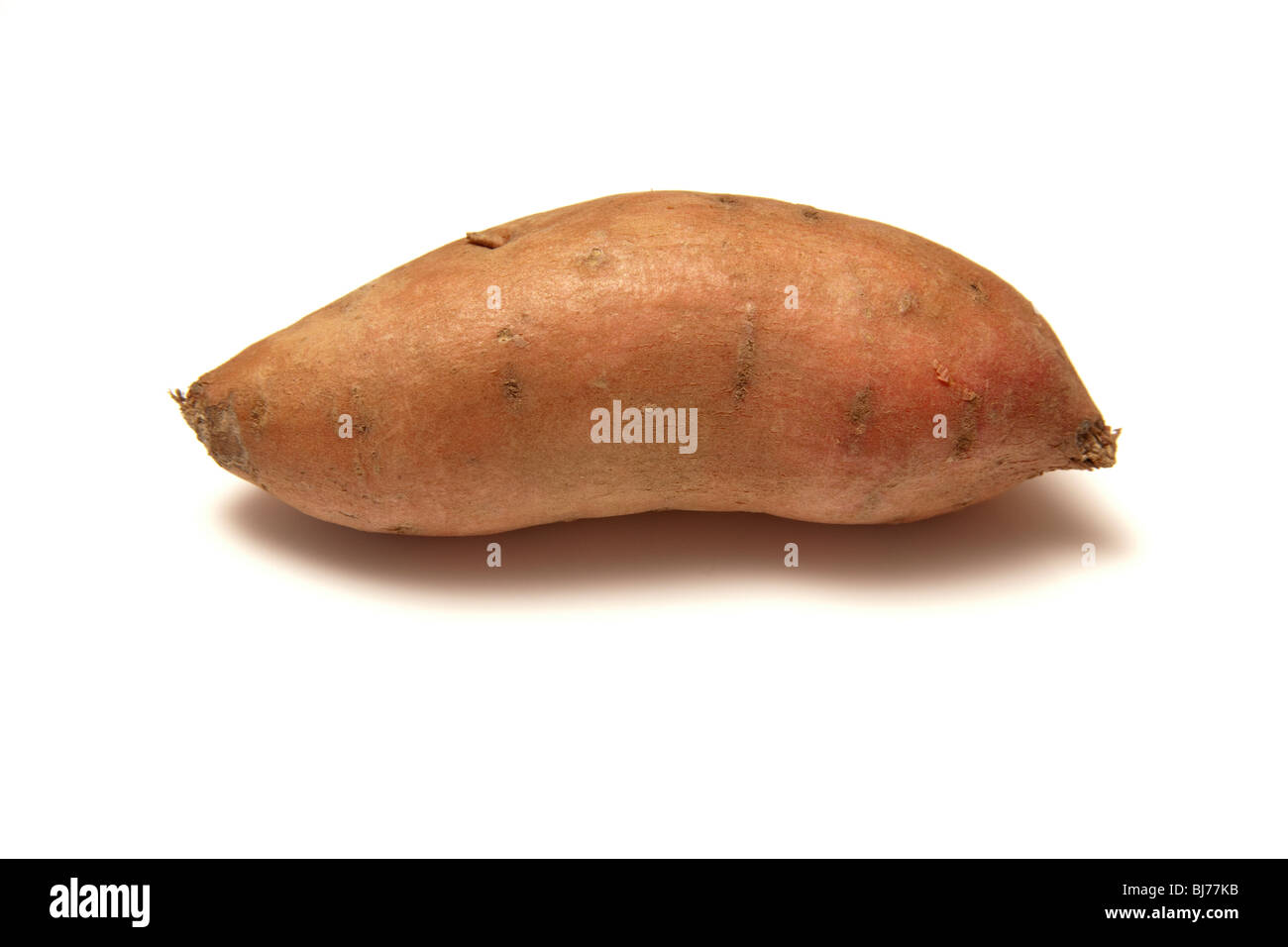 Süßkartoffel isoliert auf einem weißen Studio-Hintergrund. Stockfoto