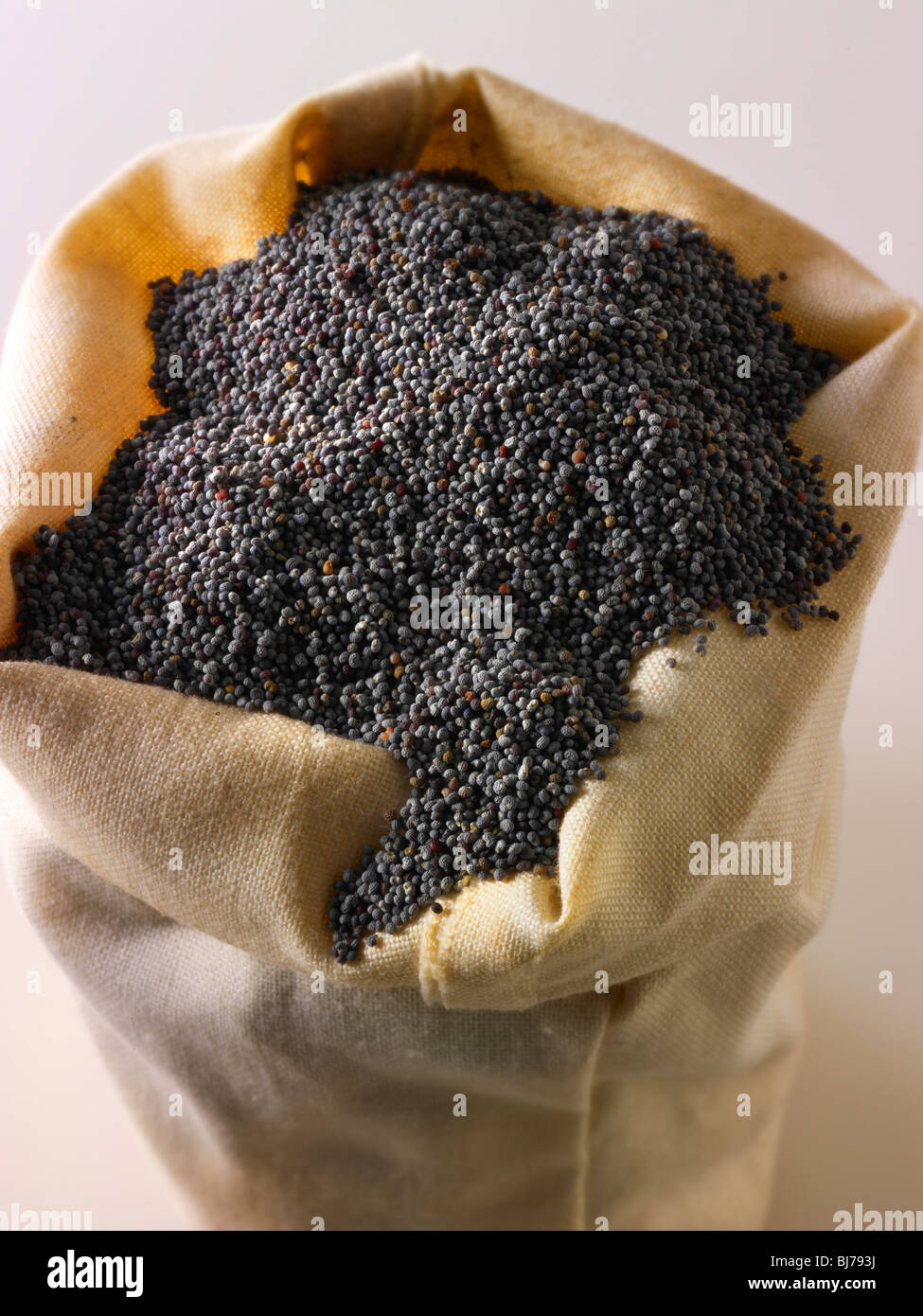 Poppy Seeds - Stockfotos Stockfoto