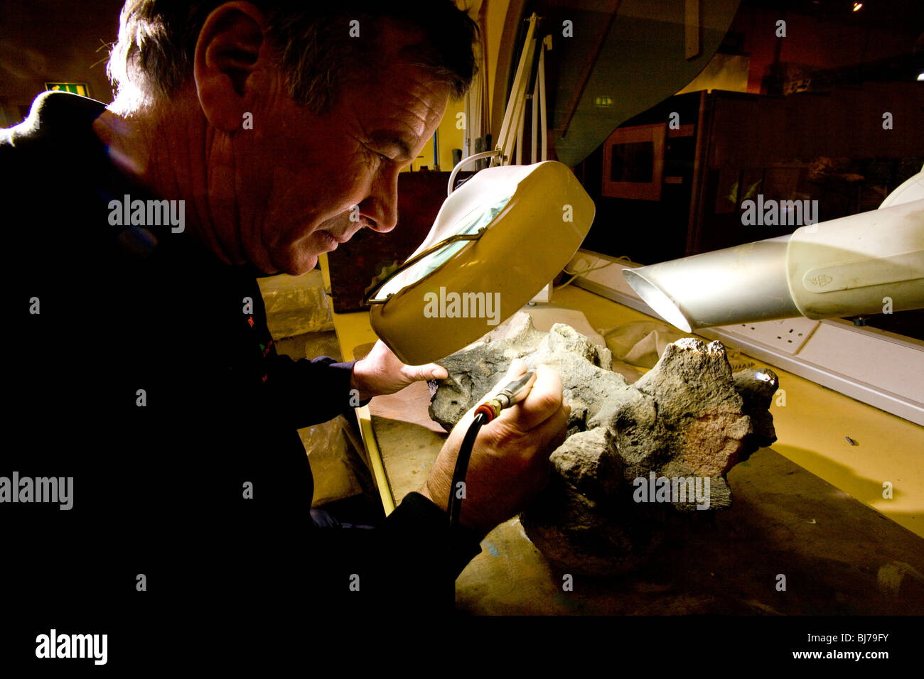 Sauriermuseum Sandown Isle Of Wight England UK Großbritannien Stockfoto