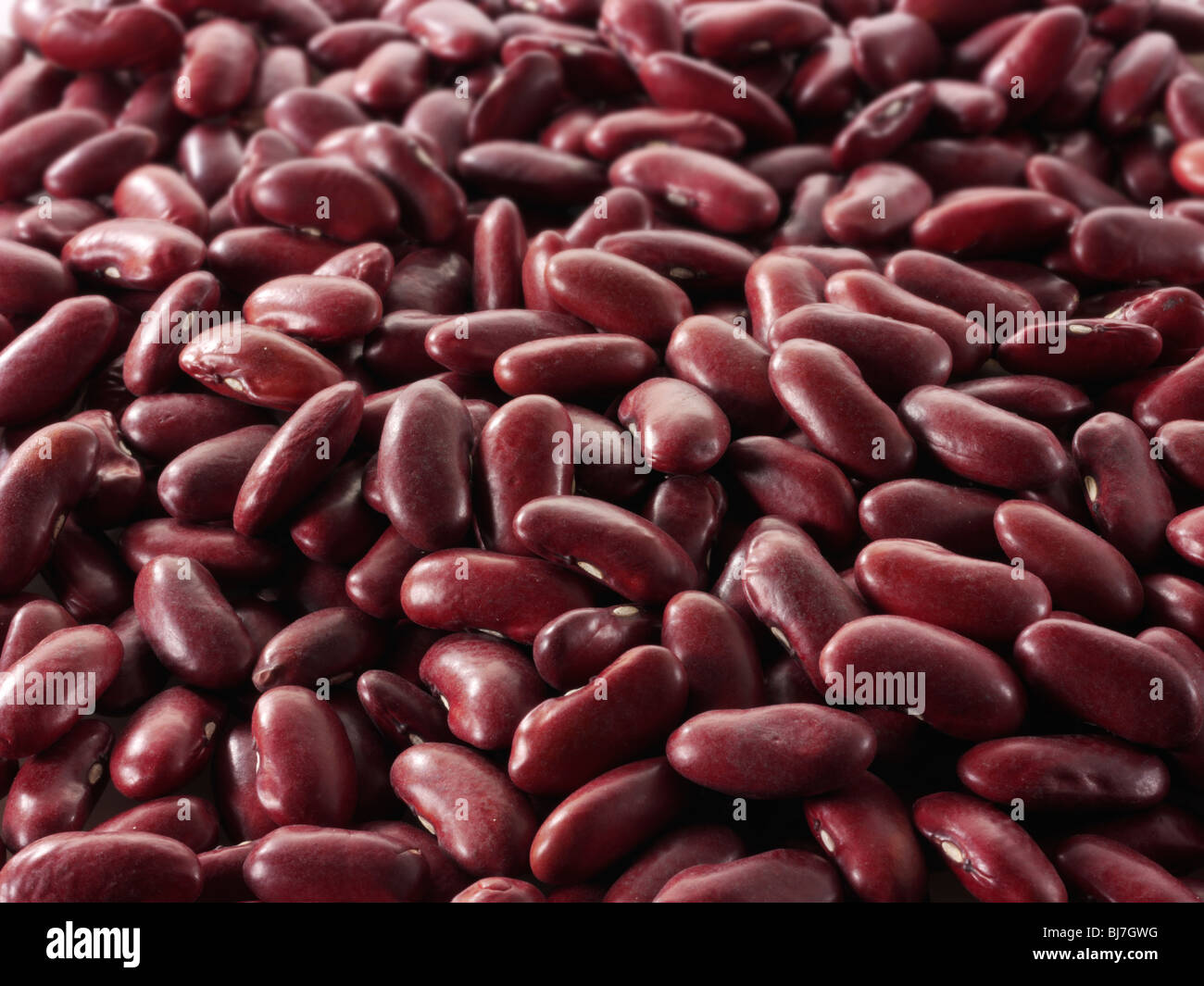 Ganze rote Kidney Beans - Nahaufnahme Vollformat oben Shot (Phaseolus vulgaris) Stockfoto