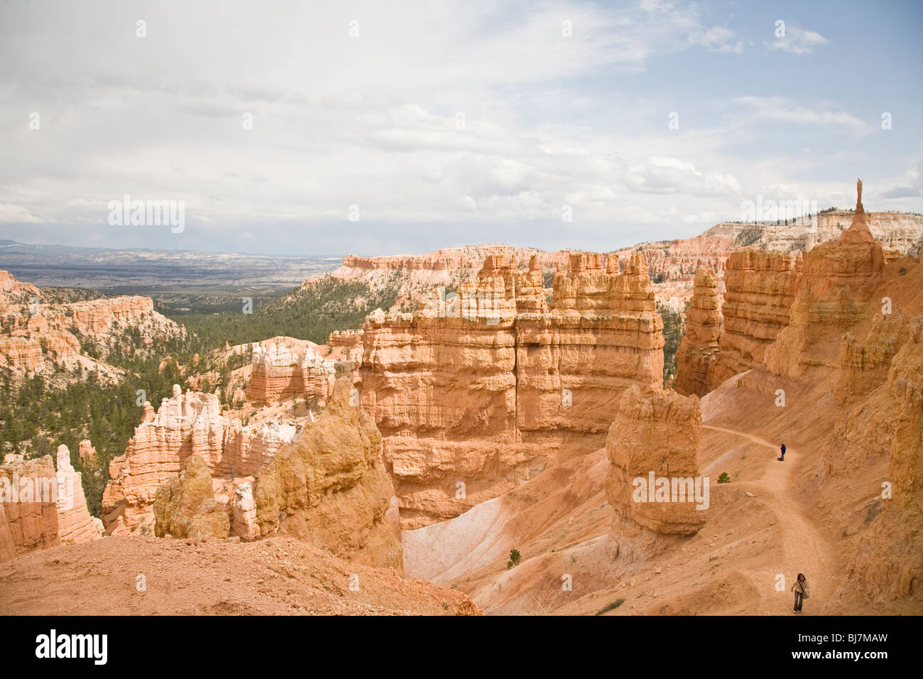 Bryce Canyon National Park in Utah, USA Stockfoto