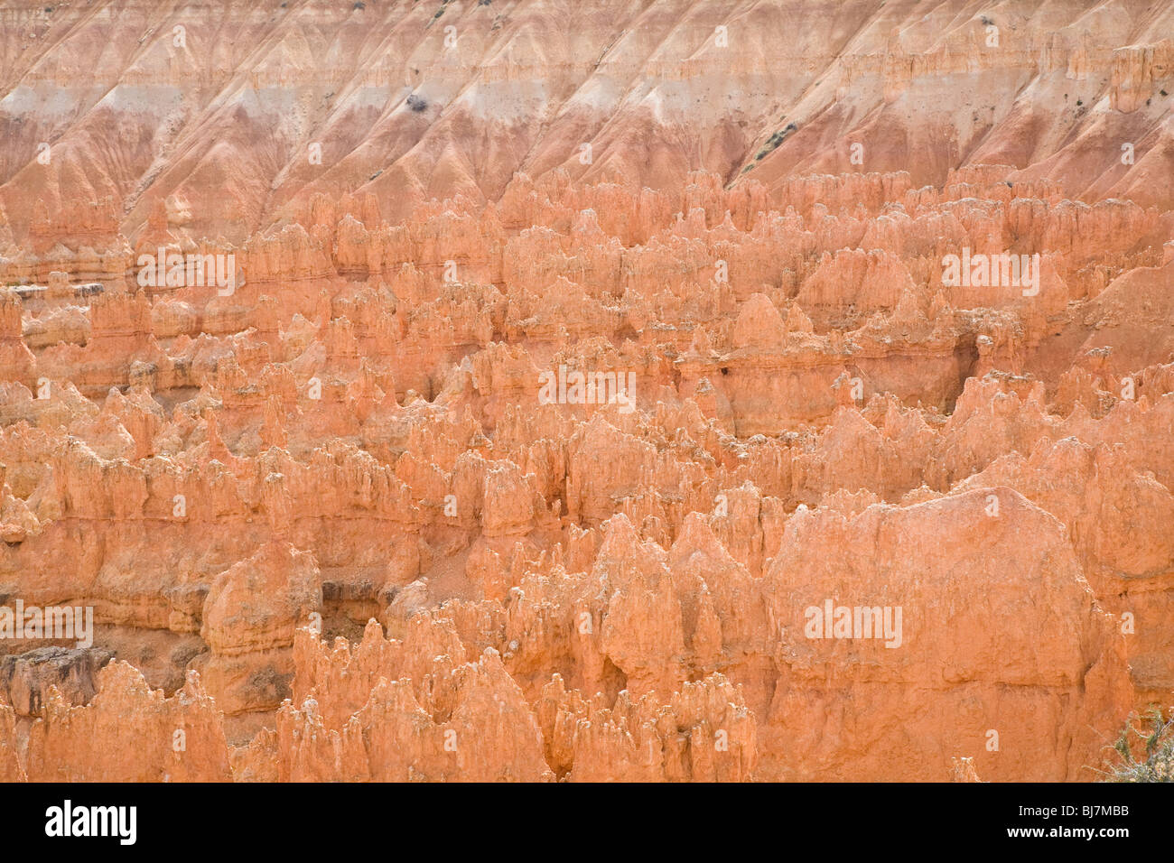 Bryce Canyon National Park in Utah, USA Stockfoto