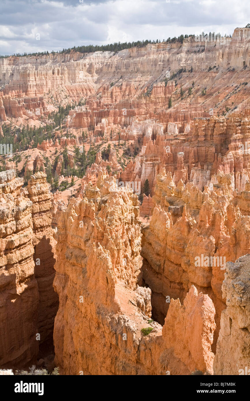 Bryce Canyon National Park in Utah, USA Stockfoto