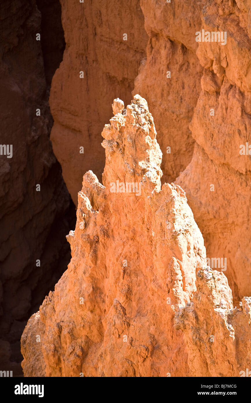 Bryce National Park, Utah Stockfoto