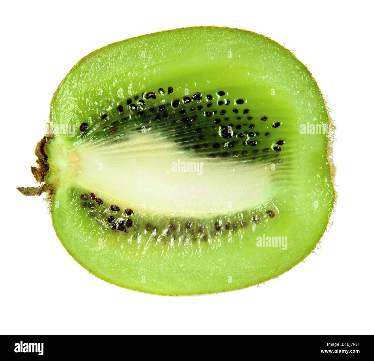 Scheibe der Kiwis isoliert auf weiss Stockfoto