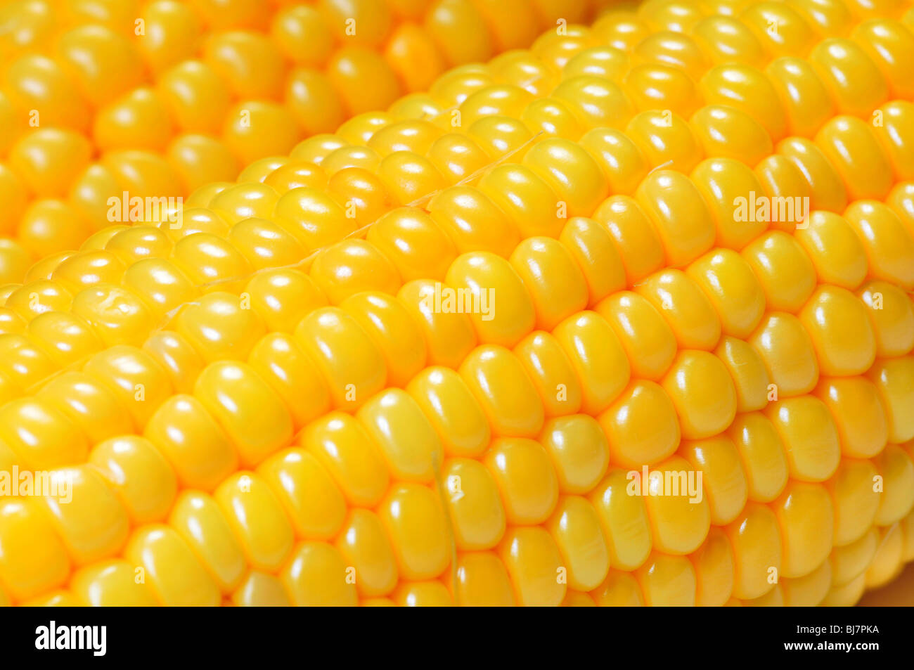 Makro-Ansicht des gelben Maiskolben Stockfoto