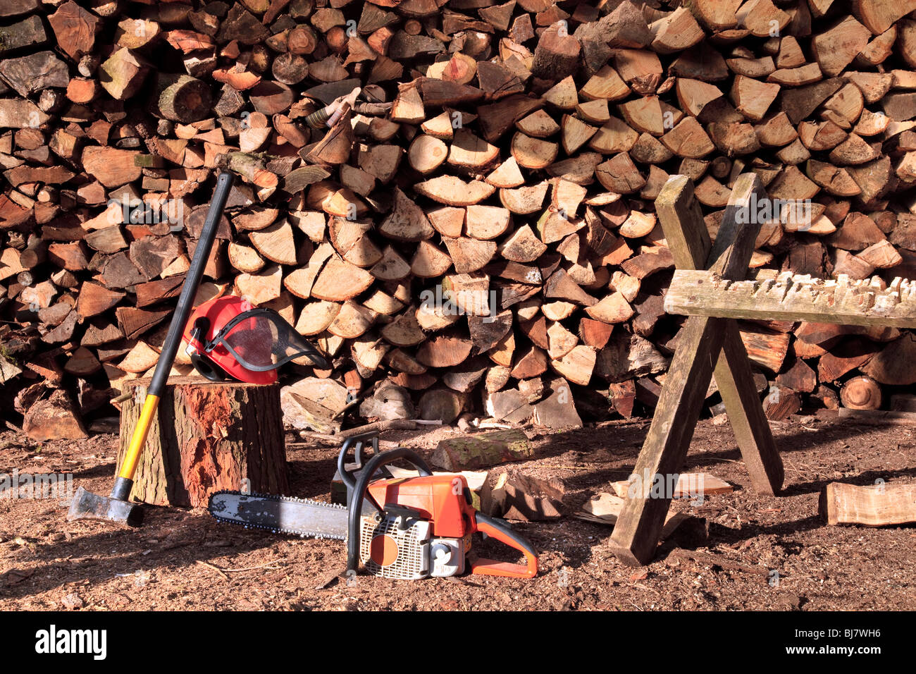 Ein Haufen gehackt Protokolle mit Kettensäge und Helm und sah Pferd Stockfoto