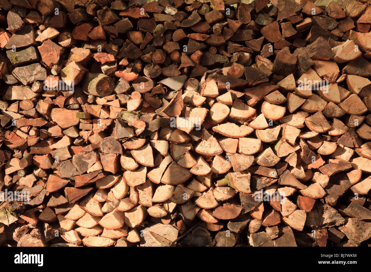 Ein Haufen von Protokollen für Brennholz Stockfoto