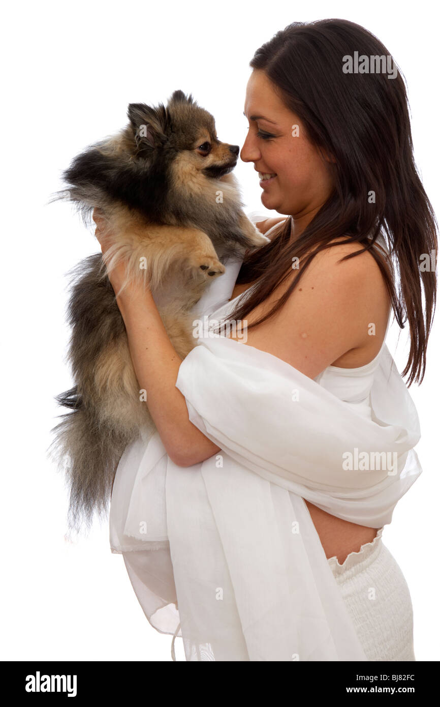 8 Monate schwangere Frau 30 Jahre alt mit Baby Bump halten kleine Pommerschen Hund Stockfoto