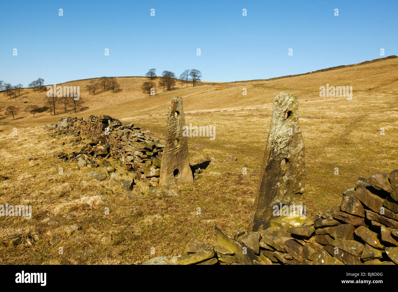 Ungewöhnliche dreieckige Steintor Beiträge an ein Feld in Gulshaw Mulde, Peak-District-Nationalpark, Cheshire, UK. Stockfoto