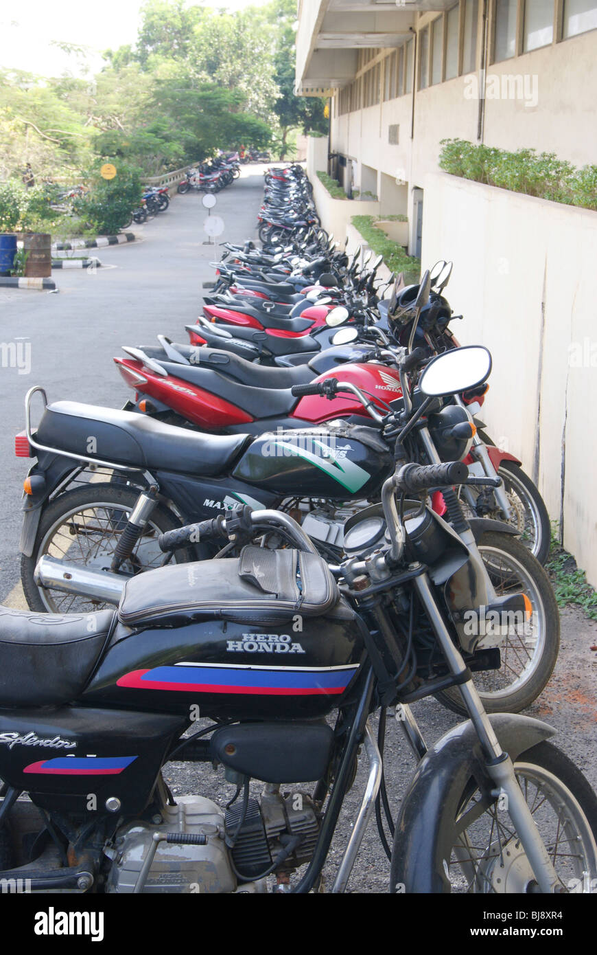 Viele Fahrräder geparkt in einer langen Zeile weiter Stockfoto