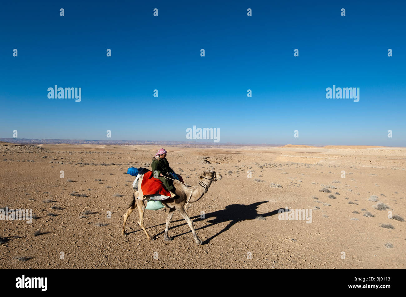 Eine einsame Kamel und Reiter durchqueren die Wüste Sinai in der Region des Jebel Gunah Stockfoto