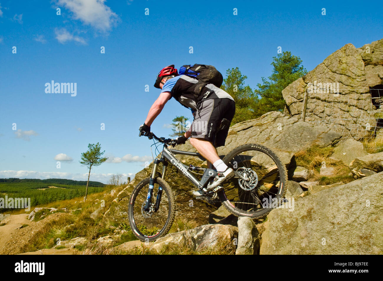 Mountainbiker auf neuen Zweck gebaut Trail im Gisburnund Wald in Bowland Fells, Lancashire, England Stockfoto