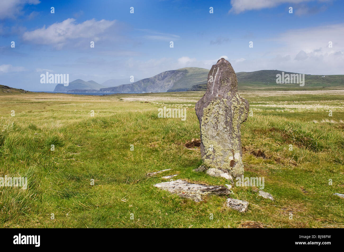 Standing Stone - Johannes Gollop Stockfoto