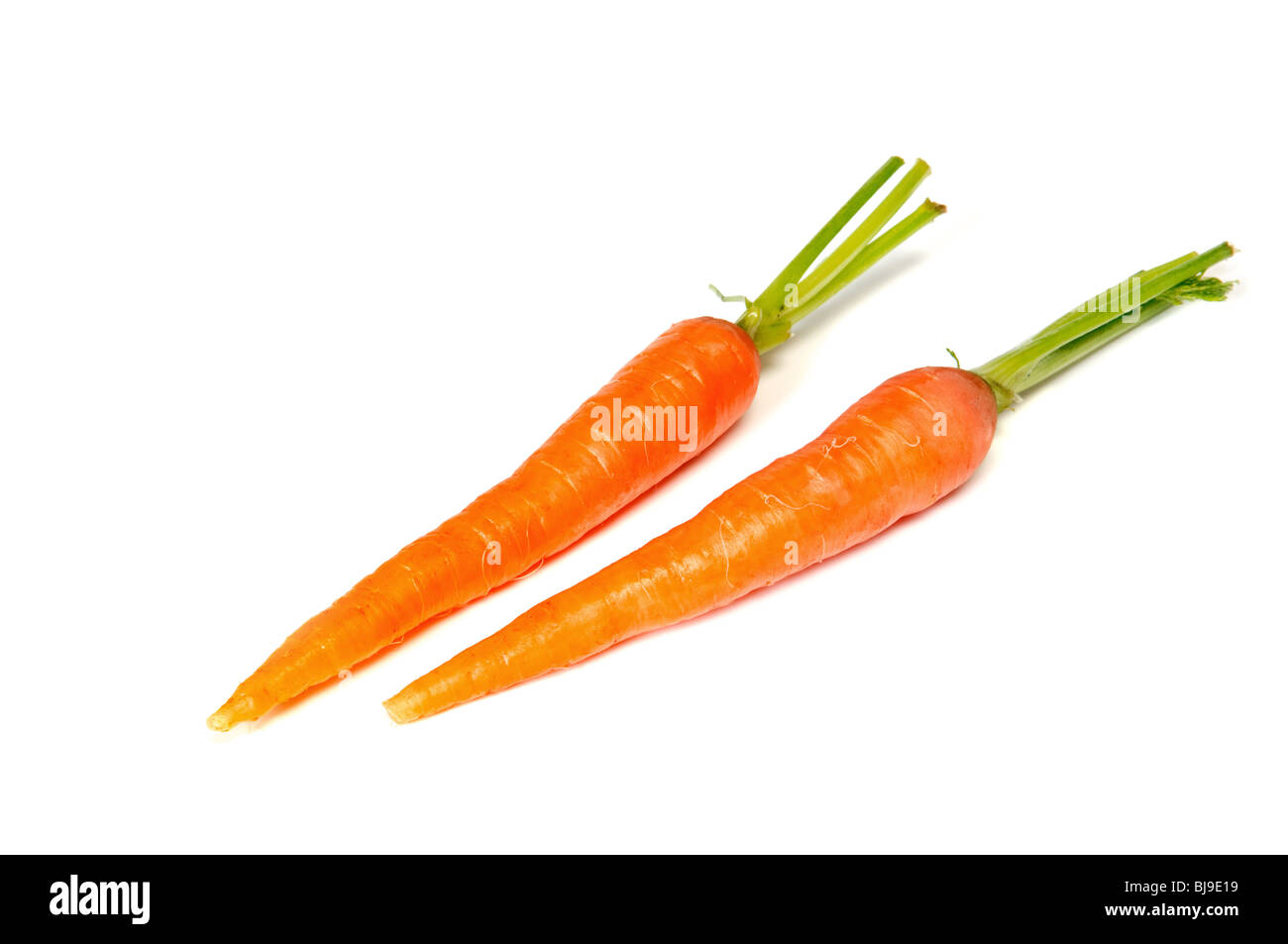 Paar von frischen Karotten isoliert auf weiss Stockfoto