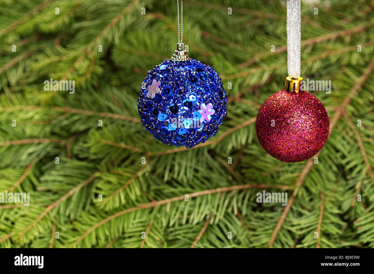 Weihnachtskugeln über Fell Baum Zweige Hintergrund Stockfoto