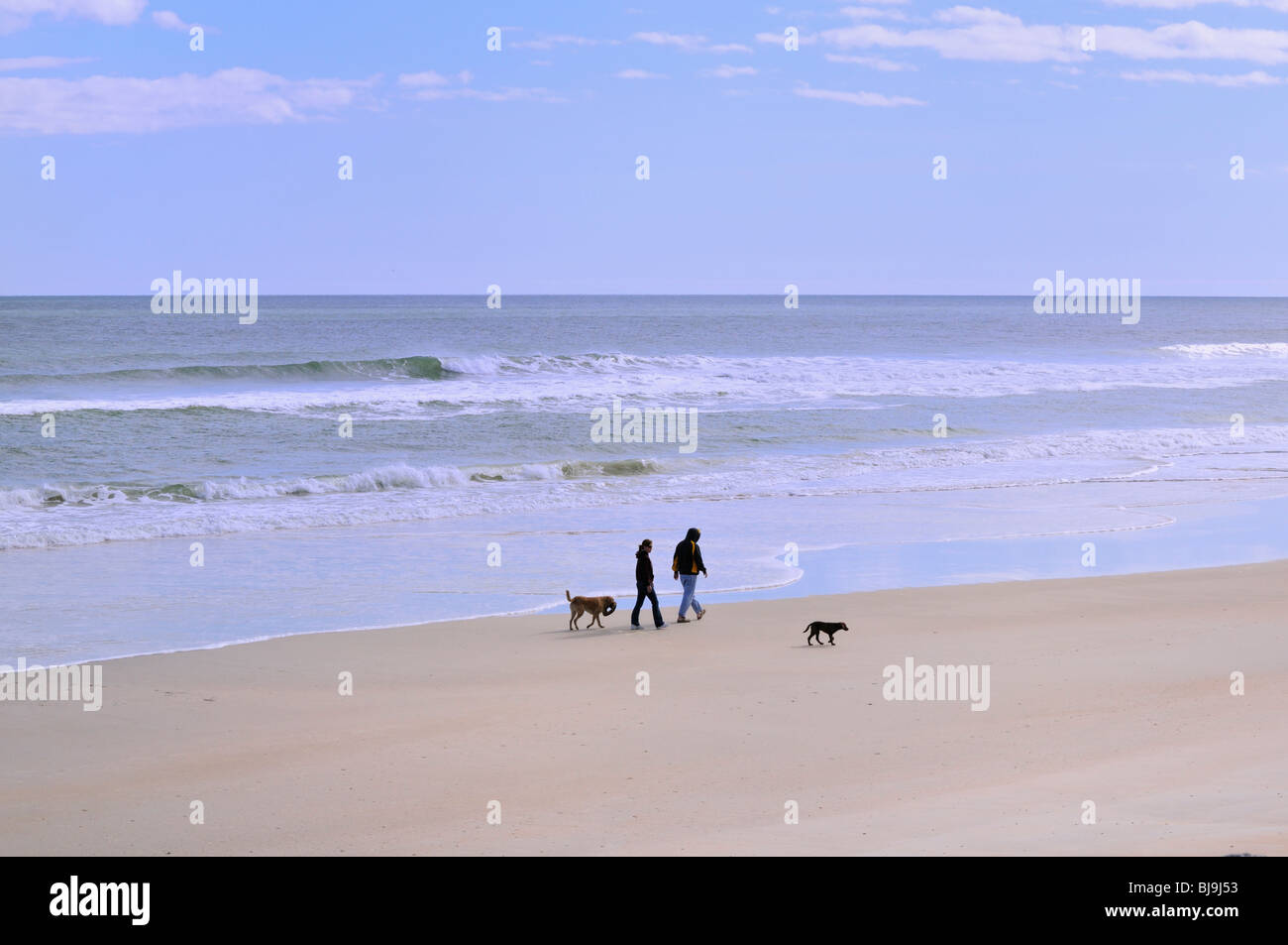 Ein paar und ihre Hunde spazieren einen Strand an Floridas Atlantikküste Stockfoto