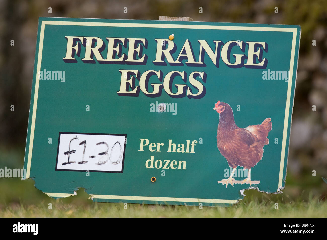 Freilandhaltung Eiern Zeichen Stockfoto