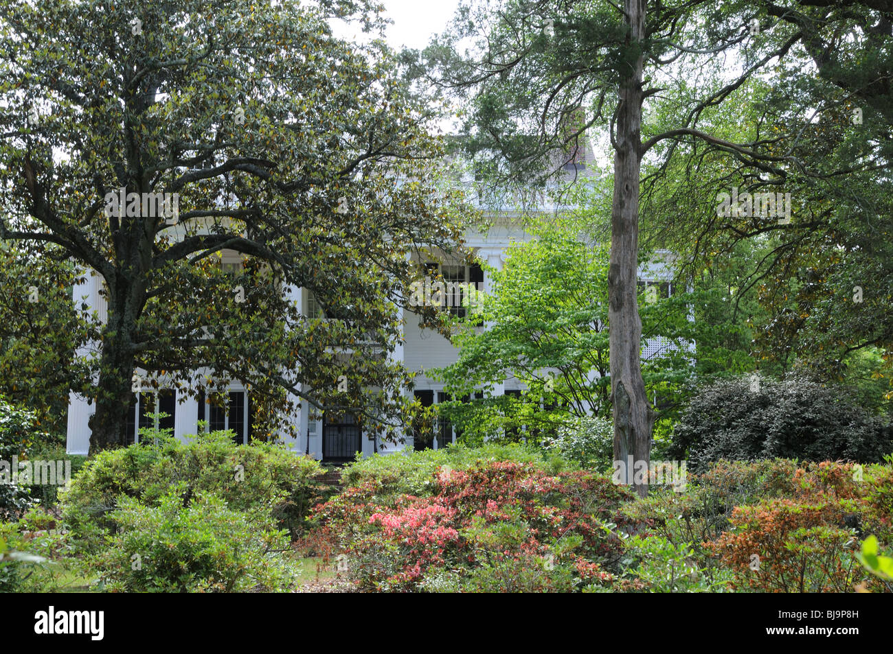 Eine Villa im Stadtteil Summerville von Augusta, Georgia. Stockfoto Eine Villa im Stadtteil Summerville von Augusta, Georgia. Stockfoto