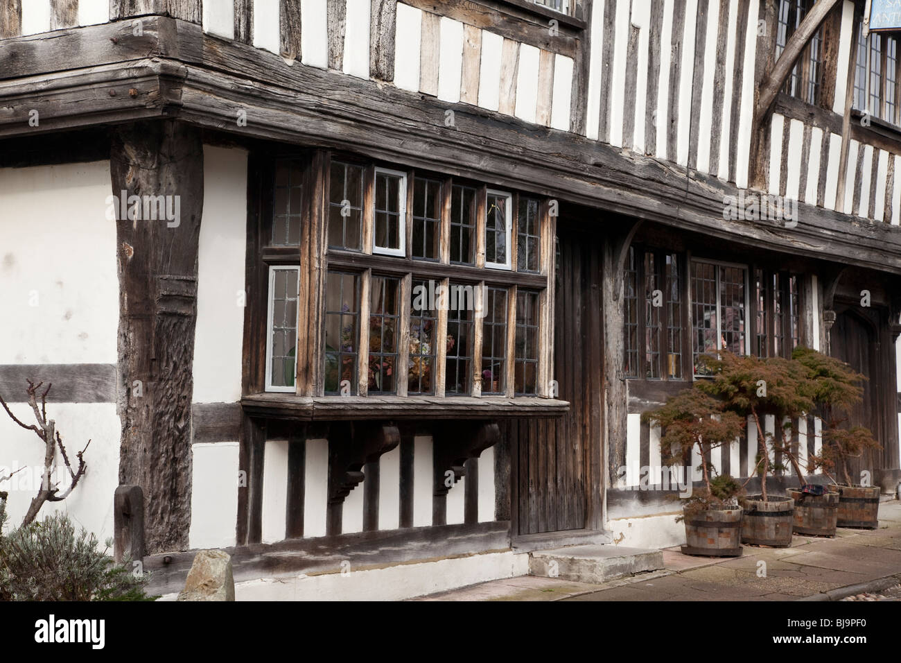 Tudor House, Rye, Sussex Stockfoto
